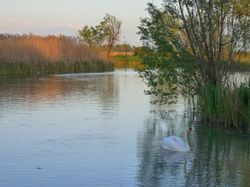 민초강이 있는 시골 풍경
