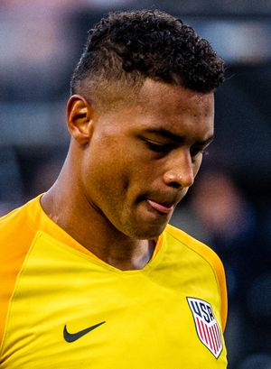 2019년 미국에서 뛰는 스테판