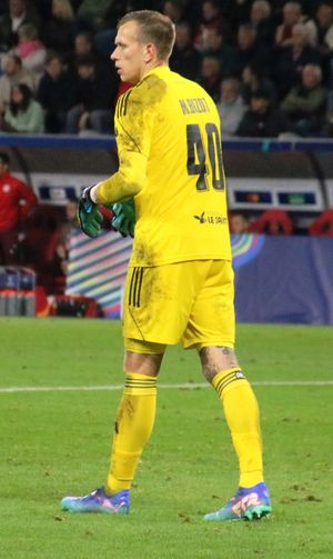 2024년 브레스트의 비조