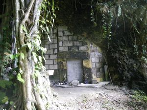 A stone brick wall and small entrance sealed by a stone inscription in a lush, overgrown environment