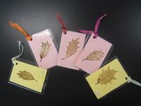 잎맥을 라미네이트한 책갈피