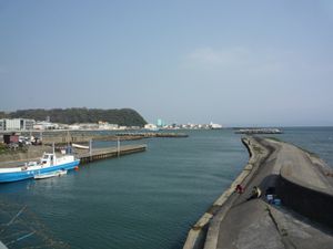 헤이사쿠 강 하구