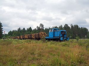 벨루로체이스카야 산림 철도 (2015년)