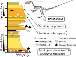키타다니 층에서 발견된 비조류 공룡들의 층서적 위치
