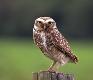 120px