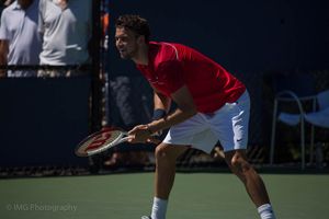 2012년 US 오픈의 디미트로프