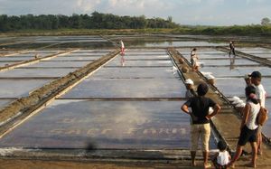 팡가시난 다솔의 염전