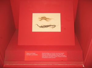 콘라드와 기젤라의 머리카락, 슈파이어 대성당에 보존되어 있다. 금발 머리카락 가닥은 기젤라의 것이다.