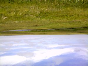 2012년 8월, 캐나다 뉴펀들랜드 아발론 반도