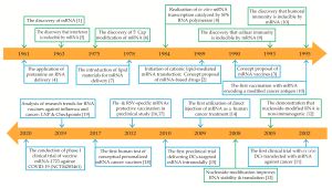 mRNA 기반 약물 기술 개발의 주요 발견 및 발전 과정 타임라인