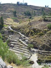 잉카 길. 양쪽에 안데네스라고 불리는 테라스 형태의 농지가 있다.