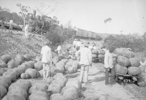 마데이라-마모레 철도를 따라 운송을 기다리는 고무 묶음