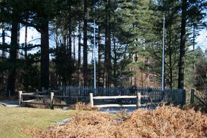 제3 캐나다 사단 병사들이 잉글랜드 남부 뉴 포레스트에서 종교 의식을 위해 세운 오리지널 십자가