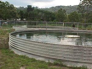 베네수엘라의 아라우거북 사육 시설