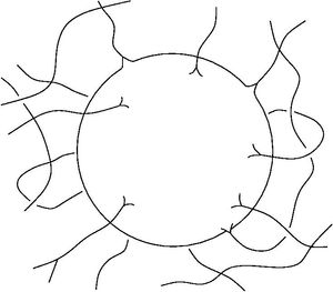지평선의 양자 기하학 표현. 벌크의 폴리머 들뜸은 수평선을 관통하여 양자화된 면적을 부여한다. 본질적으로 지평선은 양자화된 적자 각도 또는 양자화된 곡률 양을 획득하는 천공을 제외하고는 평평하다. 이 적자 각도는 4 \pi .
