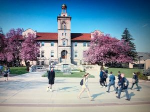 콜로라도 광산 학교