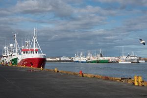 그린다비크 항구