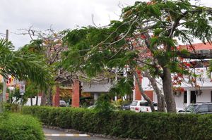 푸에르토플라타, 도미니카 공화국의 거리