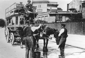 베를린 말 버스