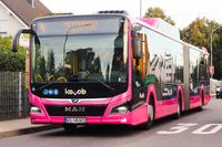 라이온스 시티 18 G코블렌츠 (독일) 채용 사례