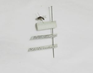 미뉴텐 핀과 3호 핀으로 이중 장착된 꽃등에