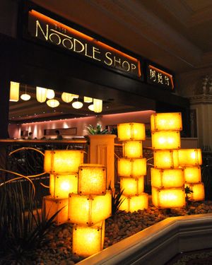 The Noodle Shop