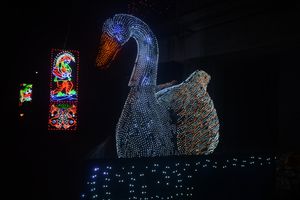 자가다트리 푸자 기간 중 찬다나가르 조명