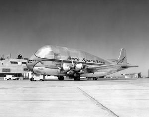 프레그넌트 거피 대형 수송기