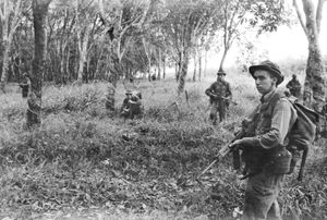 1968년 1월 남베트남 작전 중 3 RAR 병사