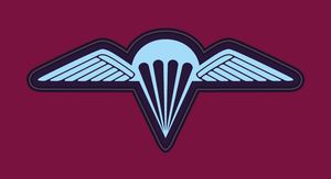 3 RAR 강하병의 오른쪽 팔에 착용하는 낙하산 날개 배지