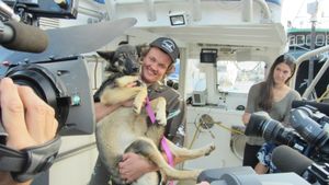 5주 동안 샌클레멘테섬 근처 바다에서 실종되었던 루나라는 강아지가 2016년 3월 샌디에이고 참치 선단 부두에서 닉 호워스와 재회했다.