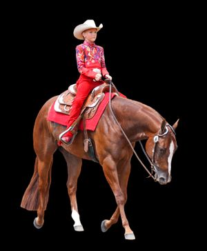 웨스턴 승마술 복장 및 승마 스타일