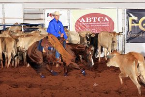 커팅 호스(Cutting horse) 경기