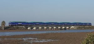 코스터 열차가 토리파인스 주립 자연 보호구역 근처의 새로운 콘크리트 다리 위를 지나고 있다 (다리 교체 프로젝트의 일환).