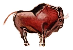 알타미라 동굴의 스텝들소를 그린 벽화 중 하나