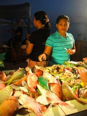 보홀라나 생선 판매상