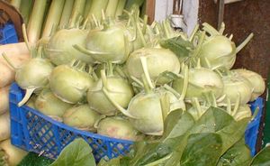 White kohlrabi
