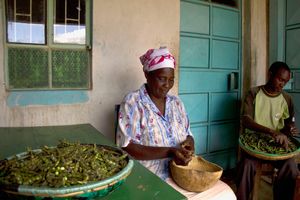 케냐에서 껍질을 벗기는 모습