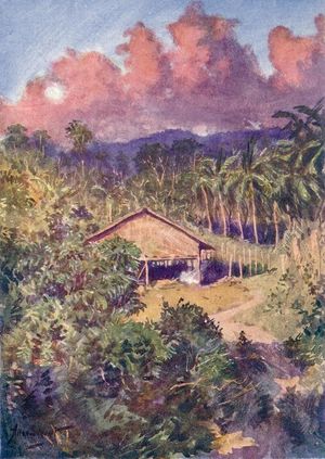 술루 가옥 및 코코넛 농장 그림