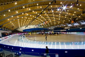 2009년 세계 스피드 스케이팅 선수권 대회 기간 중의 오벌