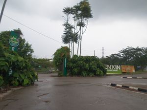 젠신 유기농 공원