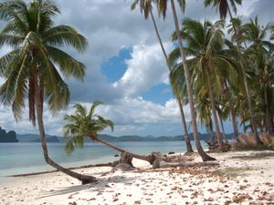 코롱 코롱 해변