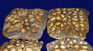 "Tomistoma" calaritanus의 화석 등판