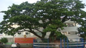 세인트 폴 대학교 퀘존 시티의 보카우에 분교 건물