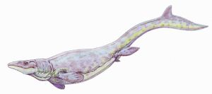 모사사우루스아과의 생전 복원도, 글로비덴스 알라바멘시스