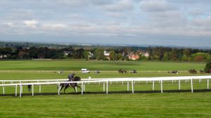 롱 힐 훈련장에서 달리는 말들