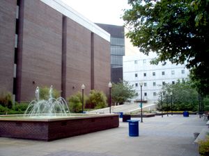 배경에 북쪽 도서관, 남쪽 도서관, 남쪽 교실 건물이 보이는 광장