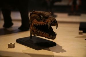 레도사우루스의 머리 모델