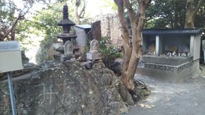 몸을 던지는 바위