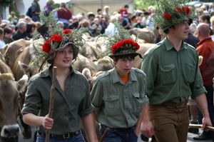 슈바르첸베르크의 알마프트리브